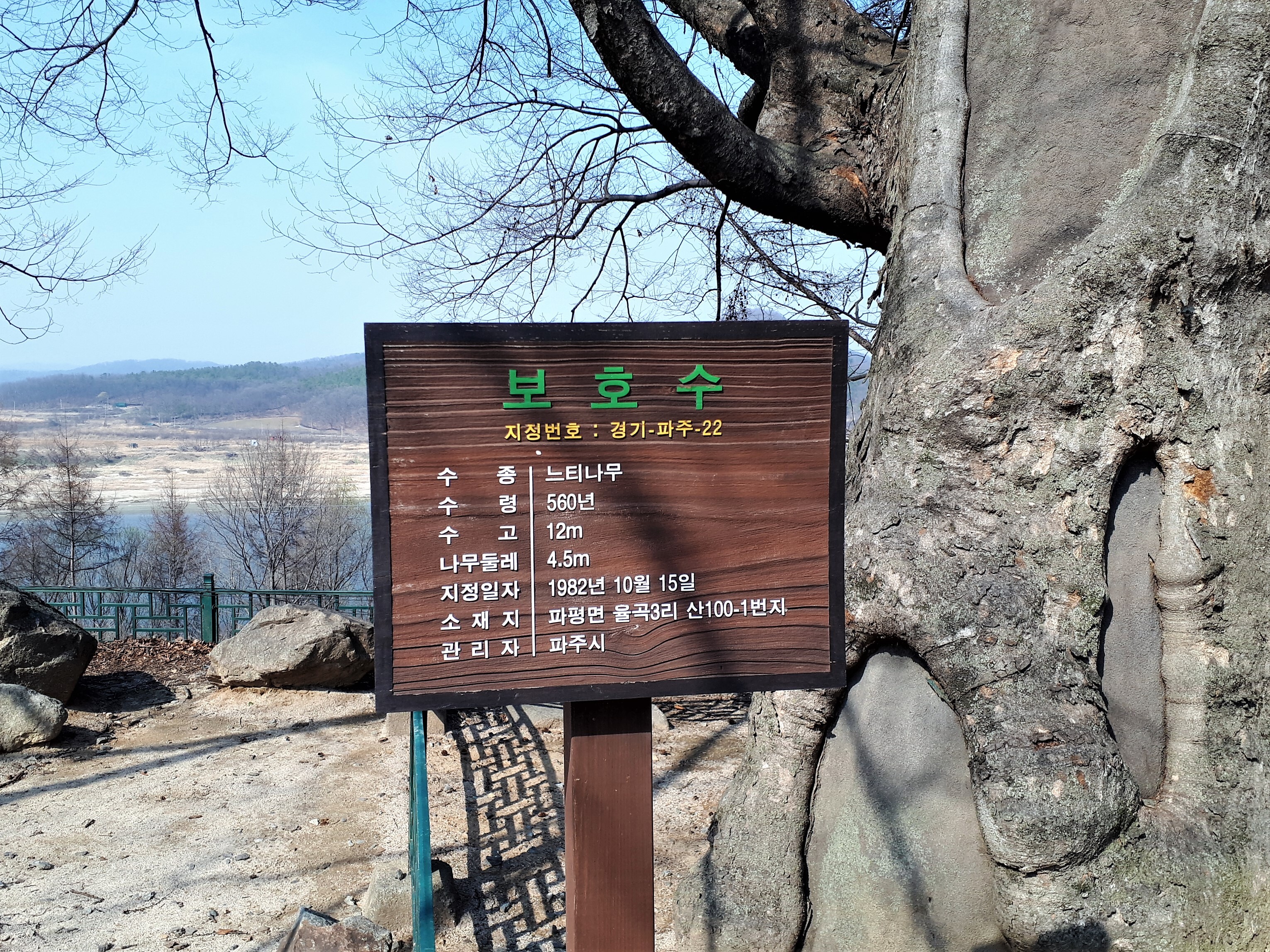 대가집 이미지