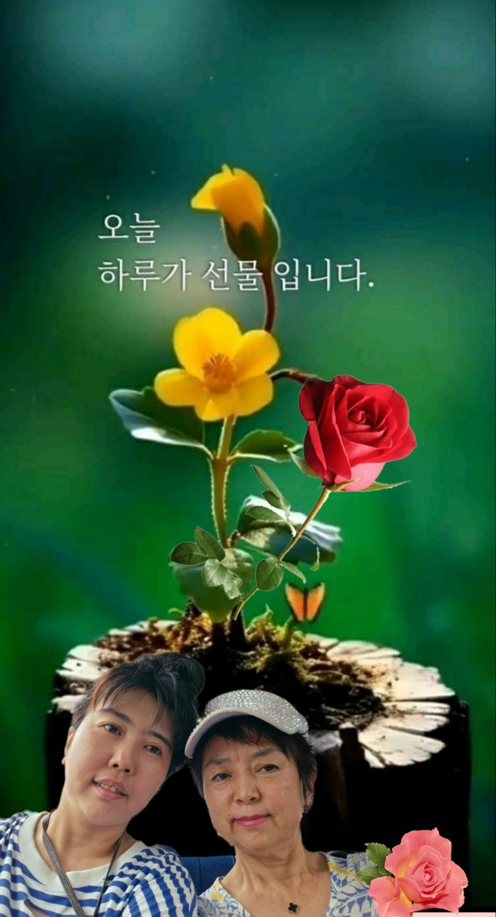 풍금 이미지