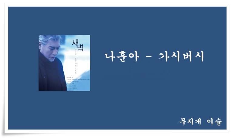 가시버시 이미지