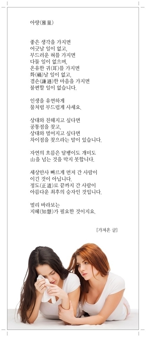 아량 이미지