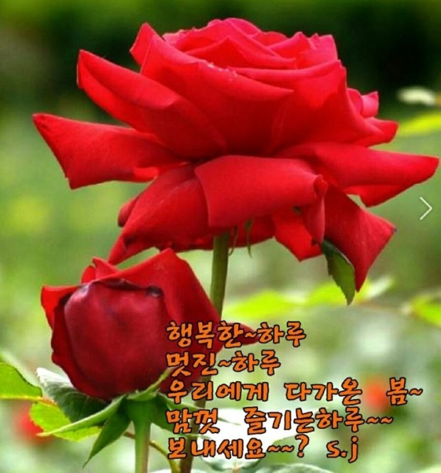 행복한 하루 이미지