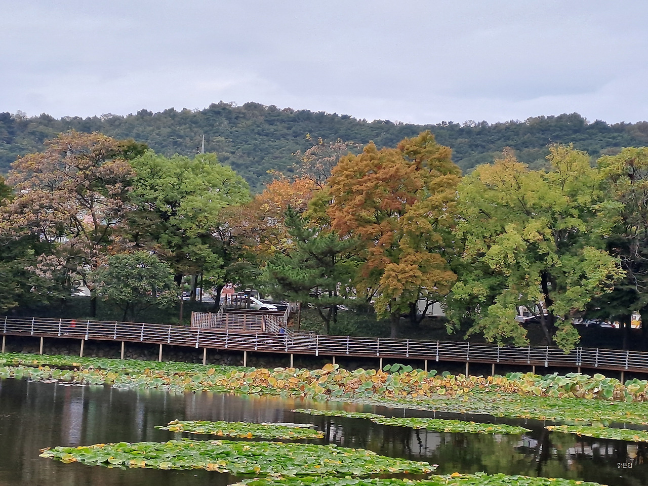 두류공원 이미지