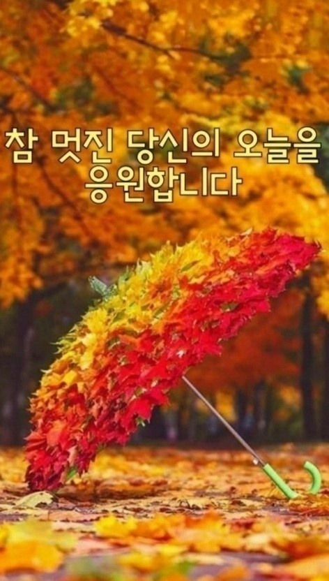 바림 이미지