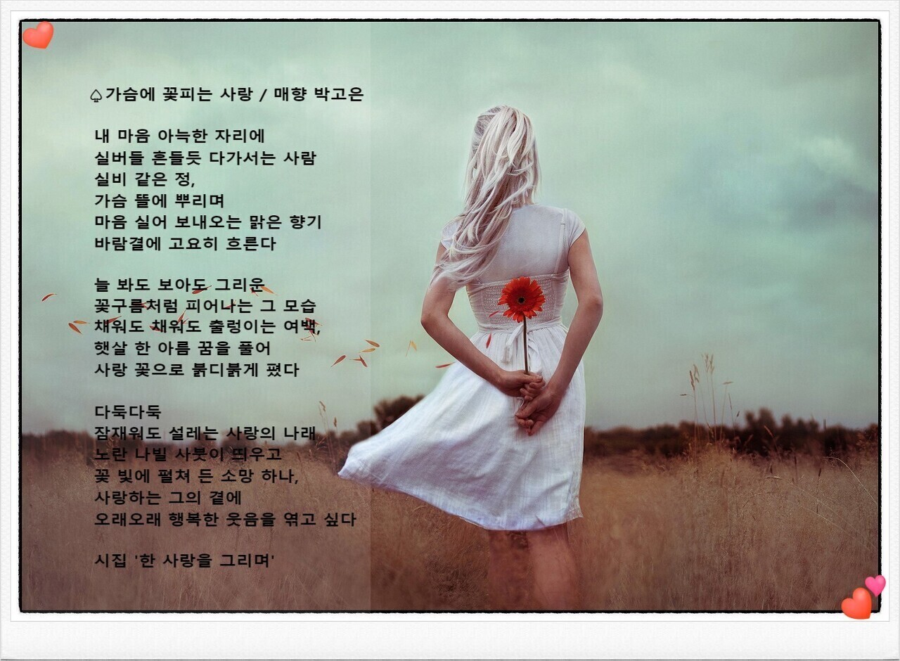 꽃사랑꽃구름 이미지