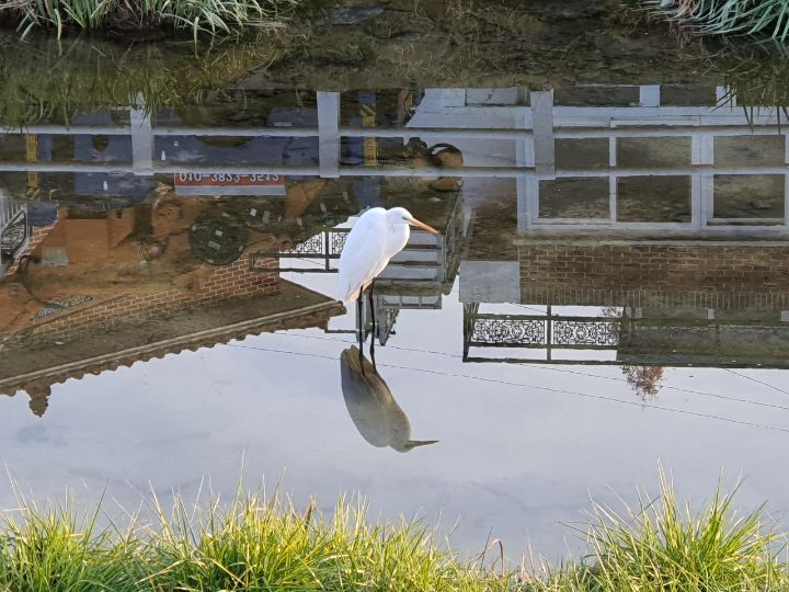 바느질풍경 이미지