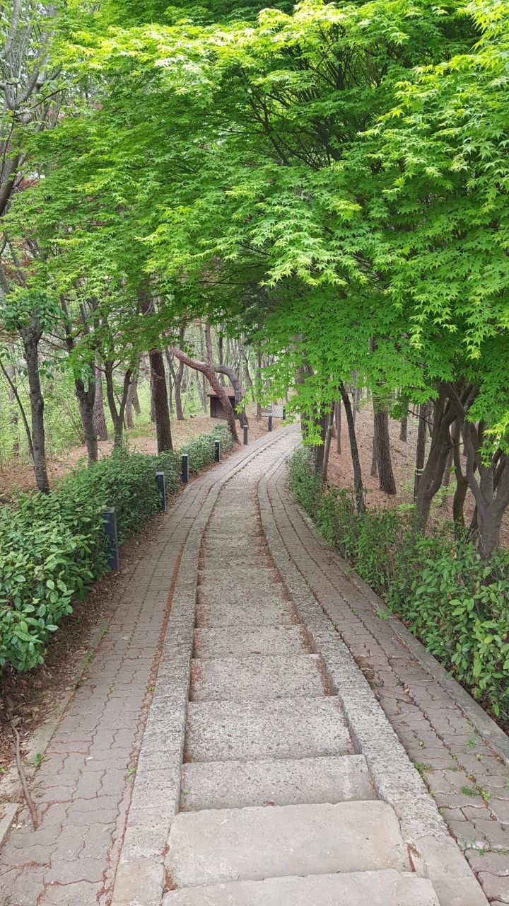눈부심 이미지