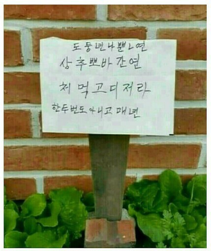 씽긋 이미지