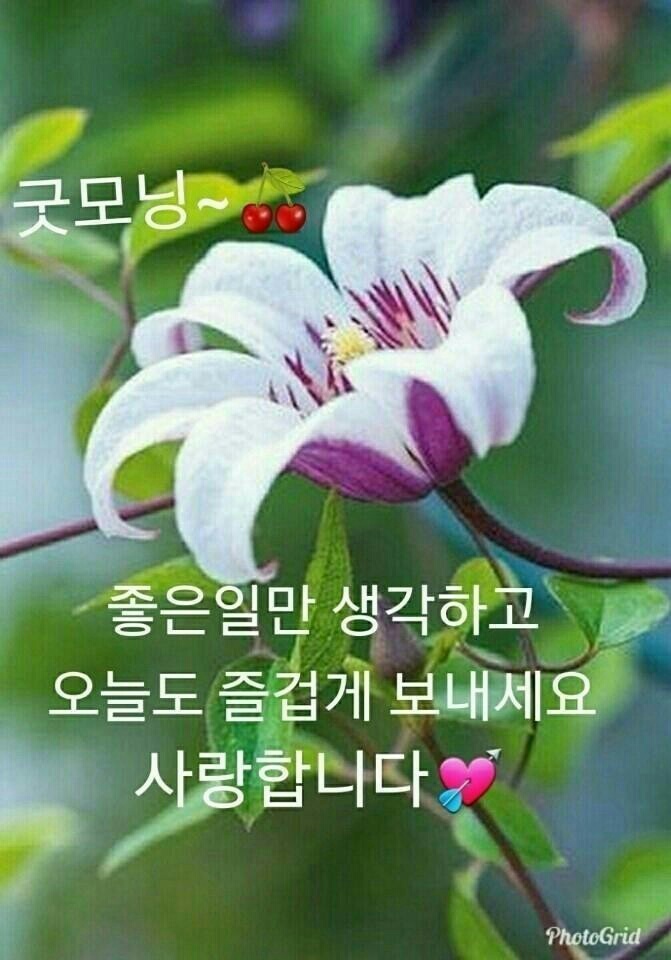 행운 이미지
