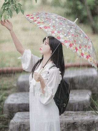 봄비 이미지