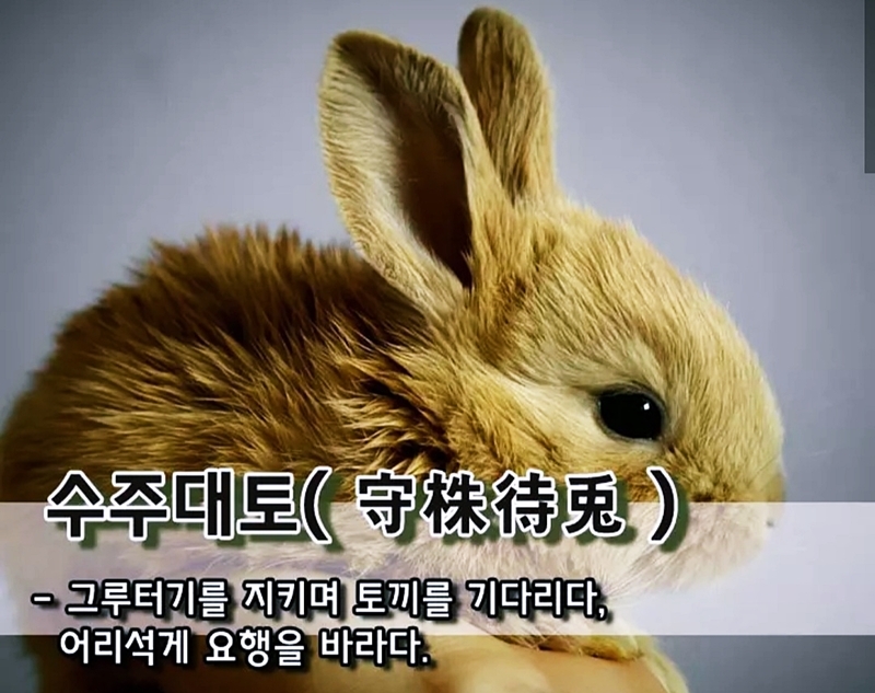 그루터기 이미지