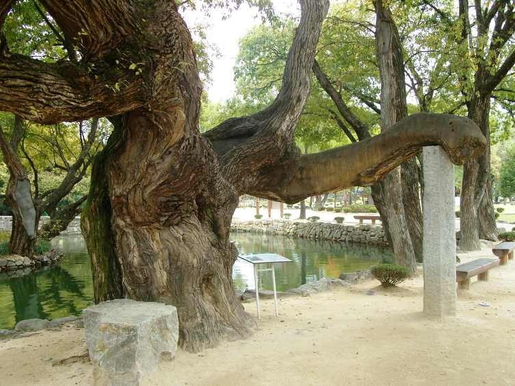 오작교 이미지