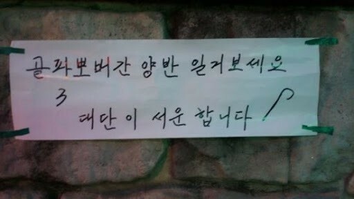 씽긋 이미지
