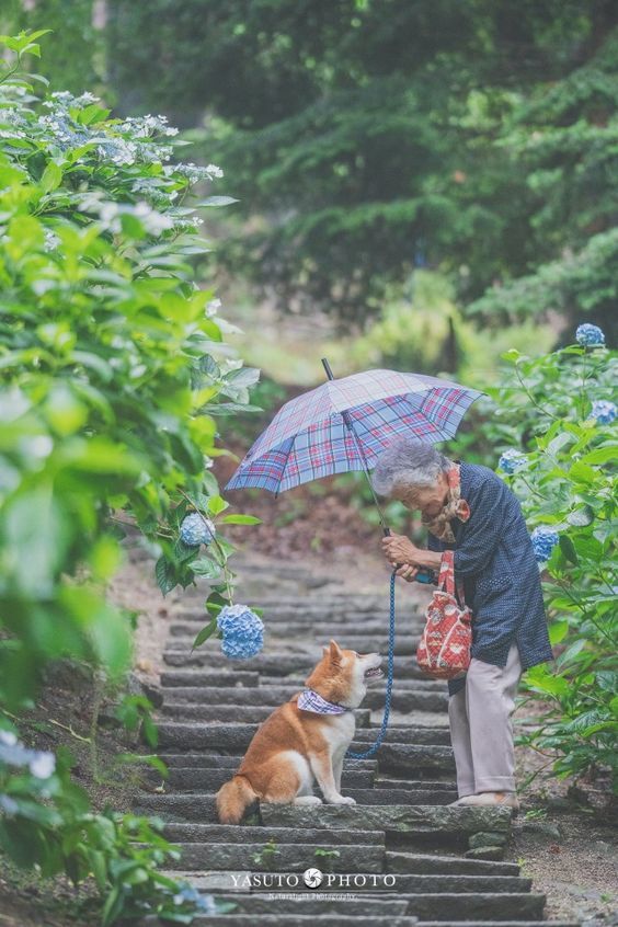 바램 이미지