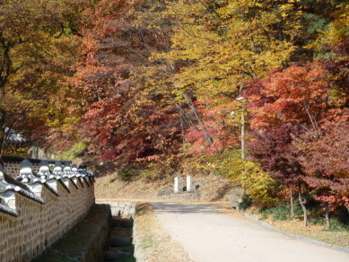 길모퉁이 이미지