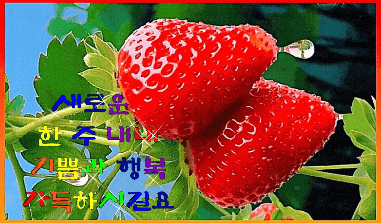 월요일 아침 인사말 gif 이미지 - ―····배경ノ이쁜이미지 - 좋은 글과 좋은 음악이 있는 곳