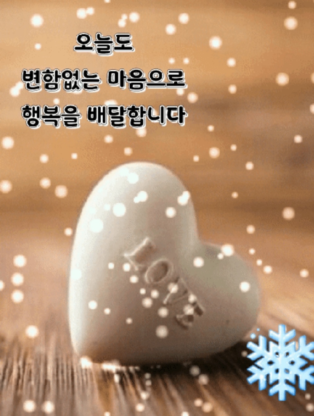 콩깍지 이미지