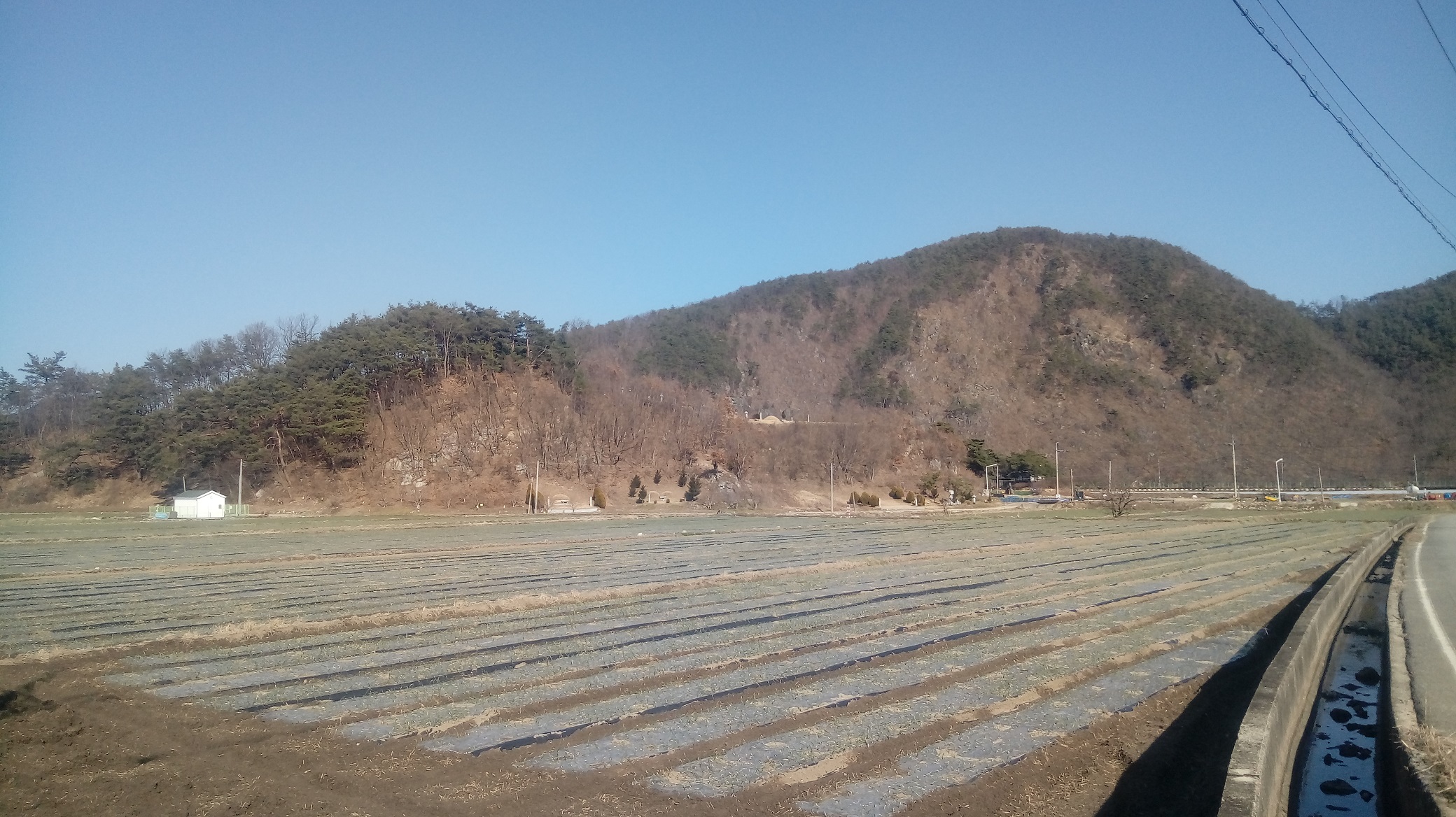 화촌농협주유소 이미지
