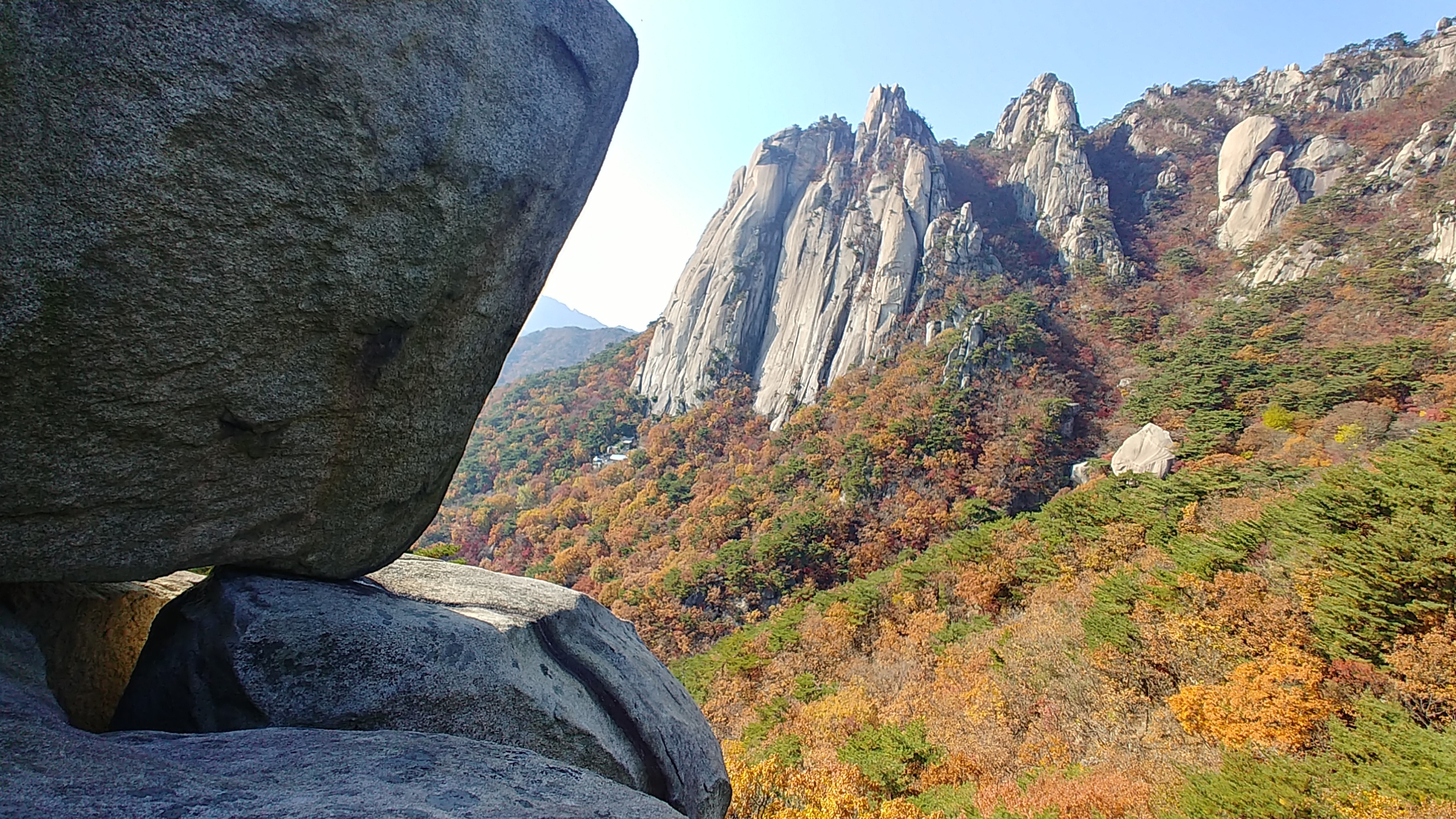 선자 이미지