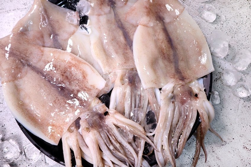 명품멸치건어물 이미지