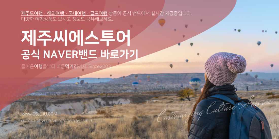씨에스투어 이미지
