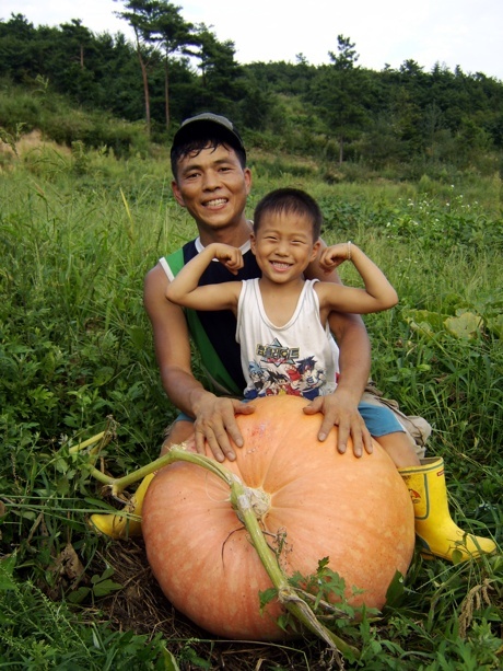 나눔농장 이미지