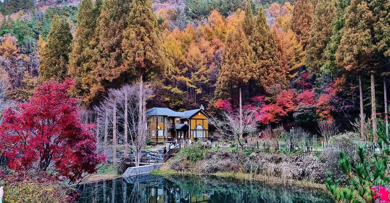 온빛 이미지
