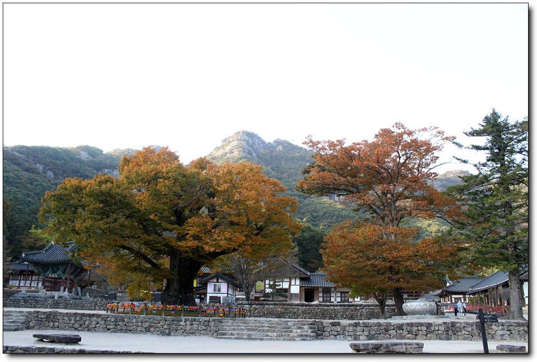 변산반도젓갈 이미지