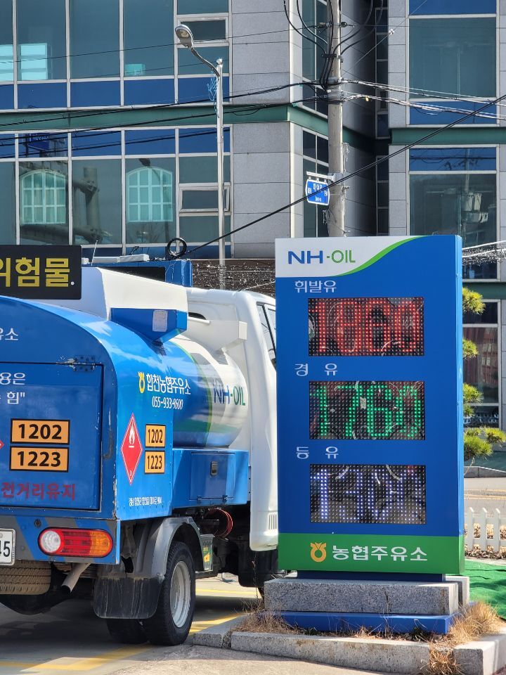 합천추레라 이미지