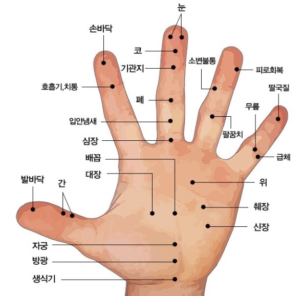 조물조물 이미지