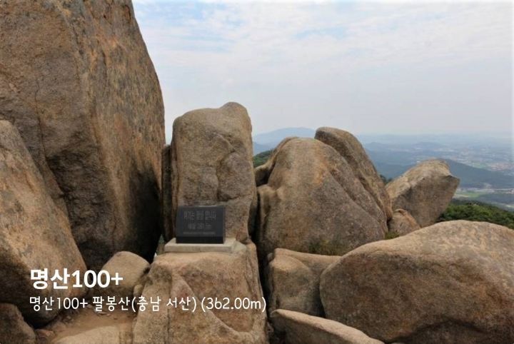 별나라콩다방 이미지