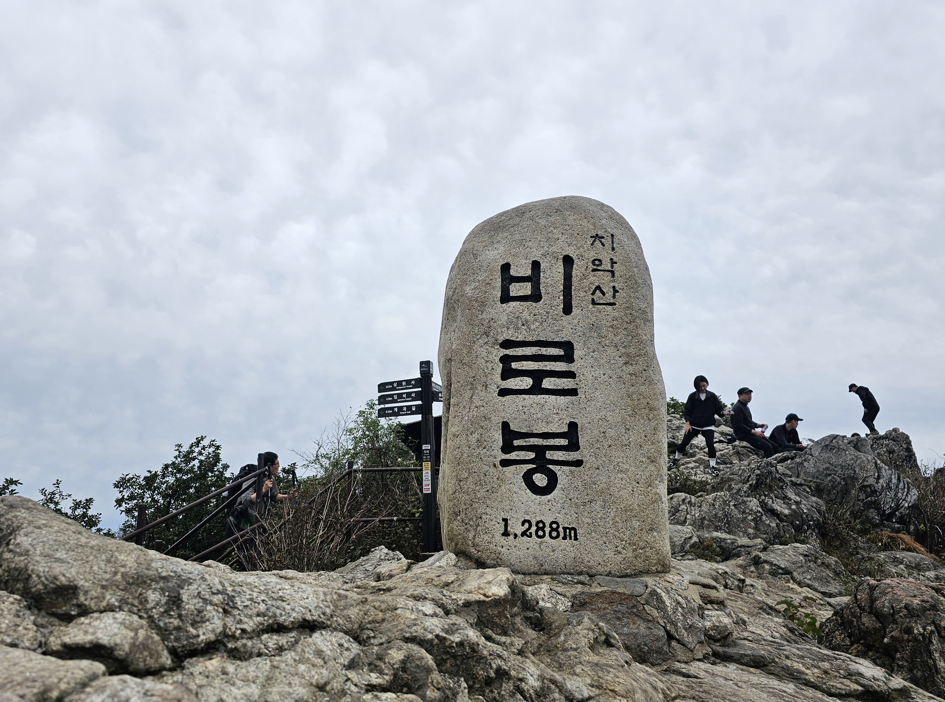 백대 이미지