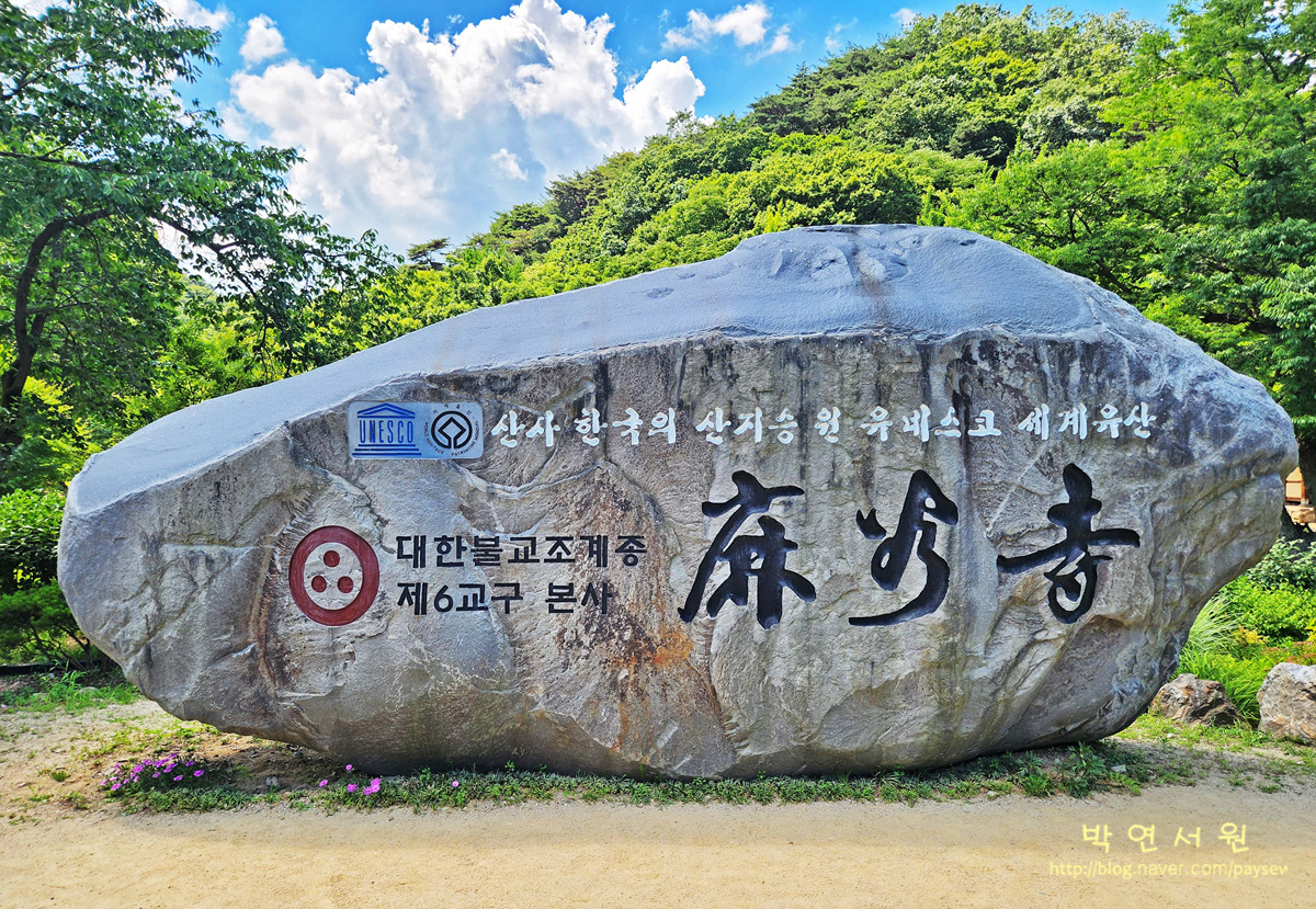 색동 이미지