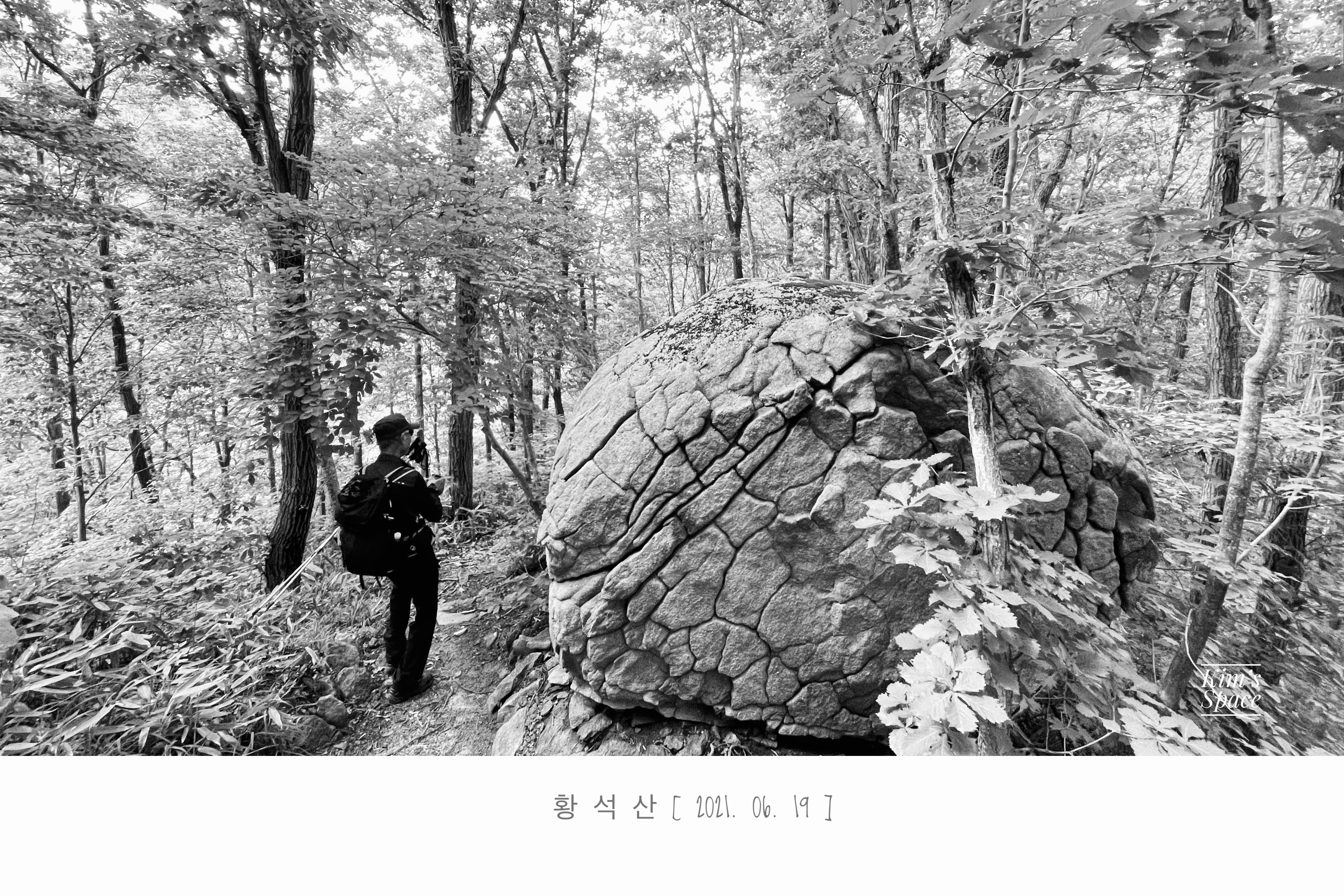 황*석 이미지