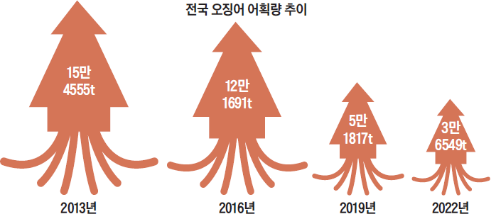 징어야징어야 이미지
