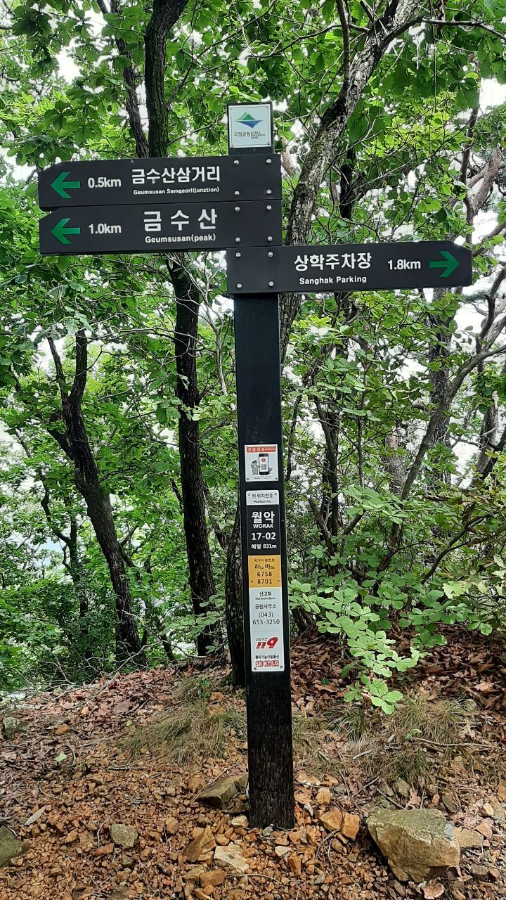 8-28 (토) 금수산.가은산 - 여행/산행(국내/해외) 사진 - 도보여행(섬&산) 좋은사람들--버스매일출발 8-28 (토) 금수산.가은산