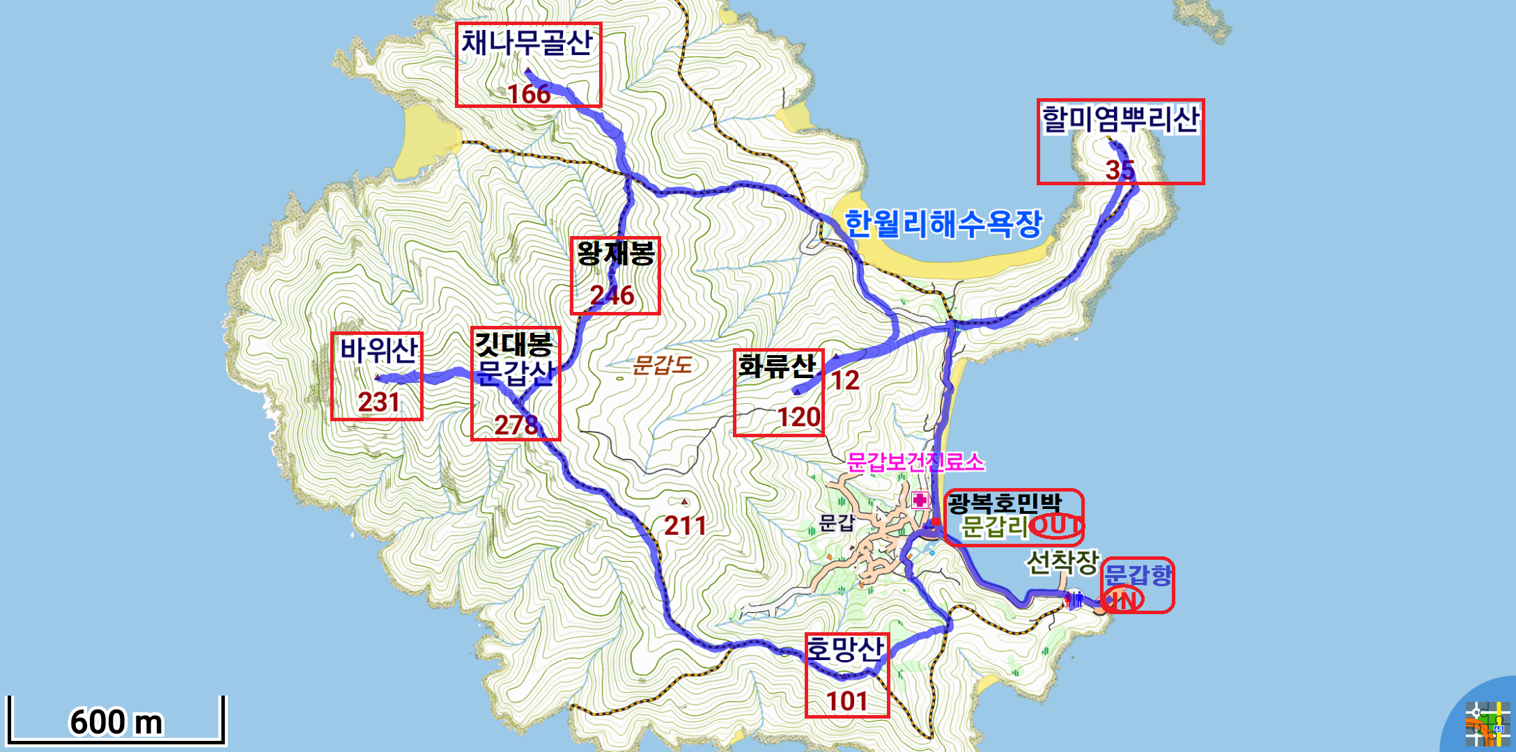 화류 이미지