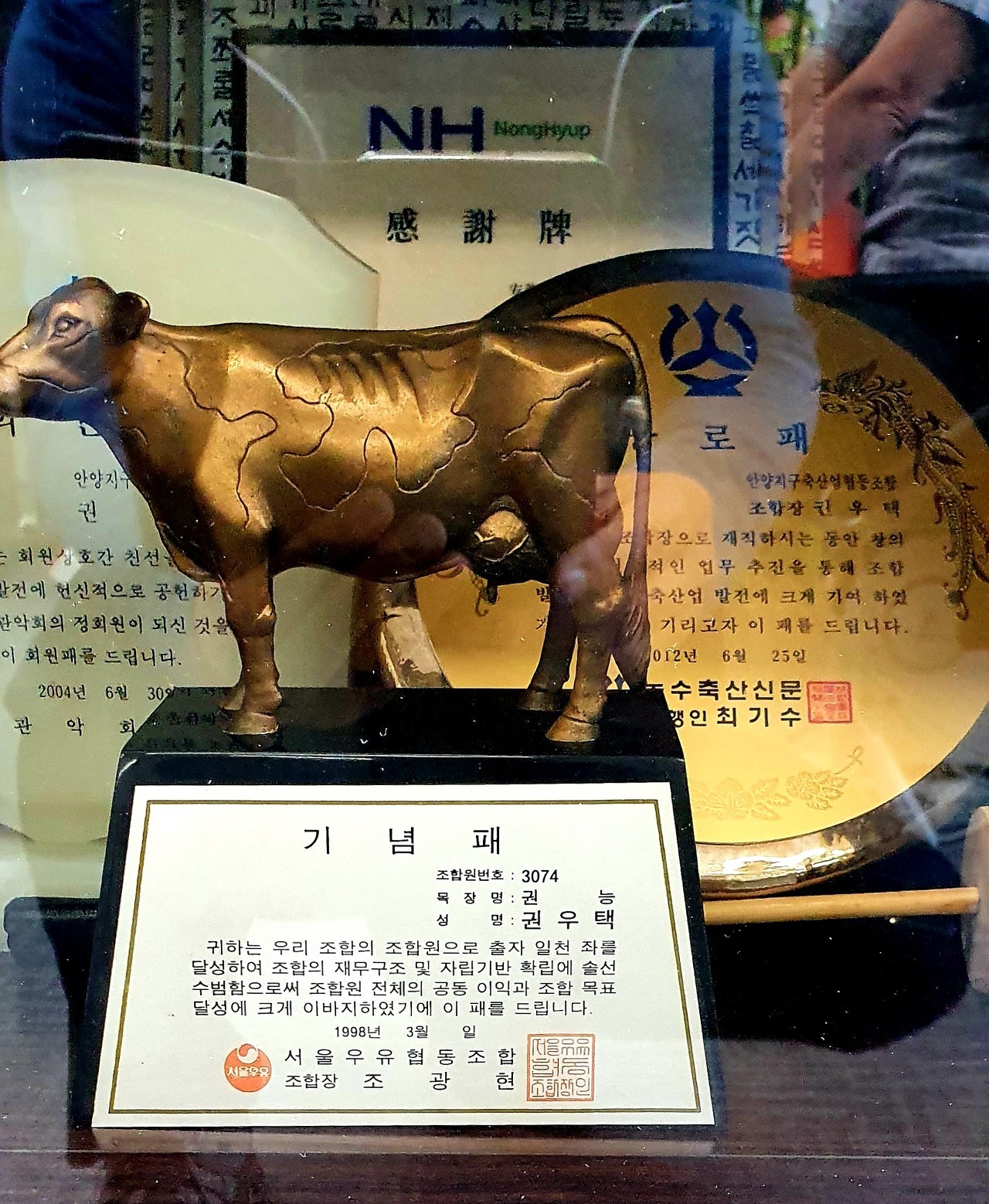 보광축산 이미지