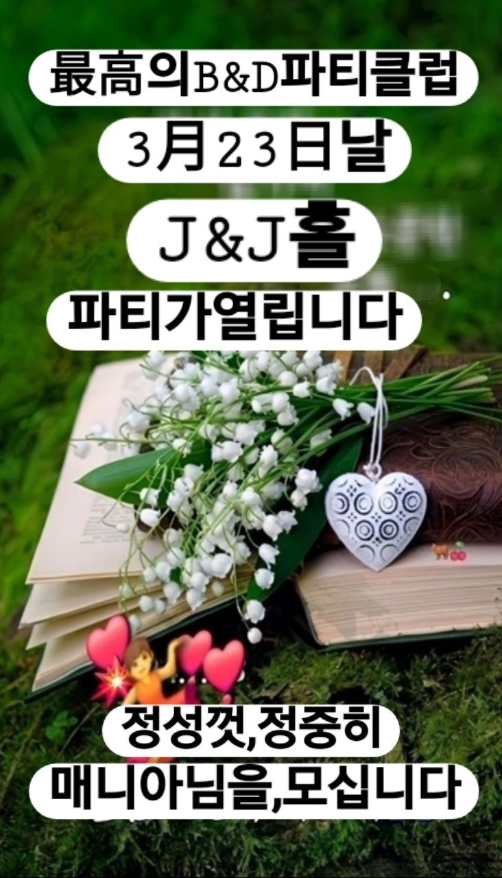 비앤디 이미지