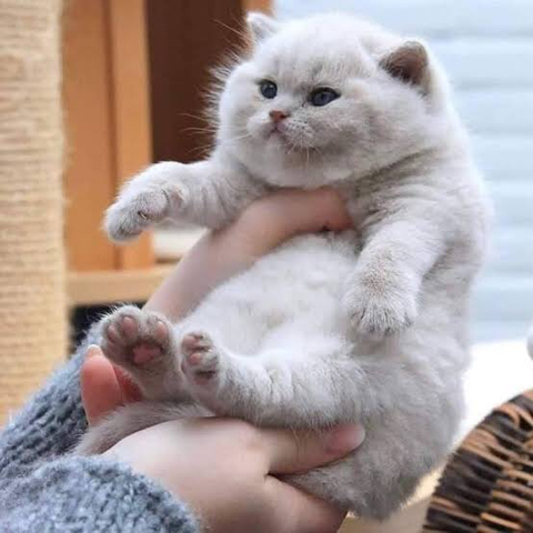 토실토실 이미지