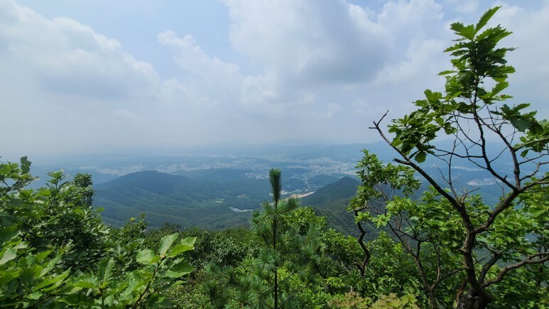 철마산 조망 이미지
