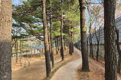 못잊어 이미지