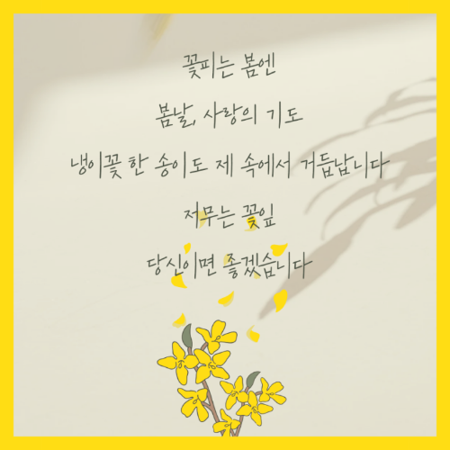 꽃피는봄 이미지