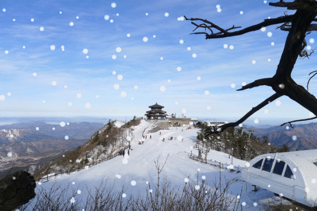 카페 프로필 이미지