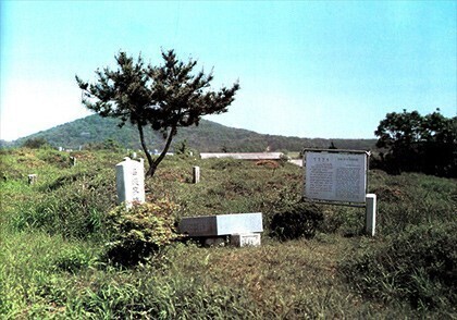 이화우 이미지