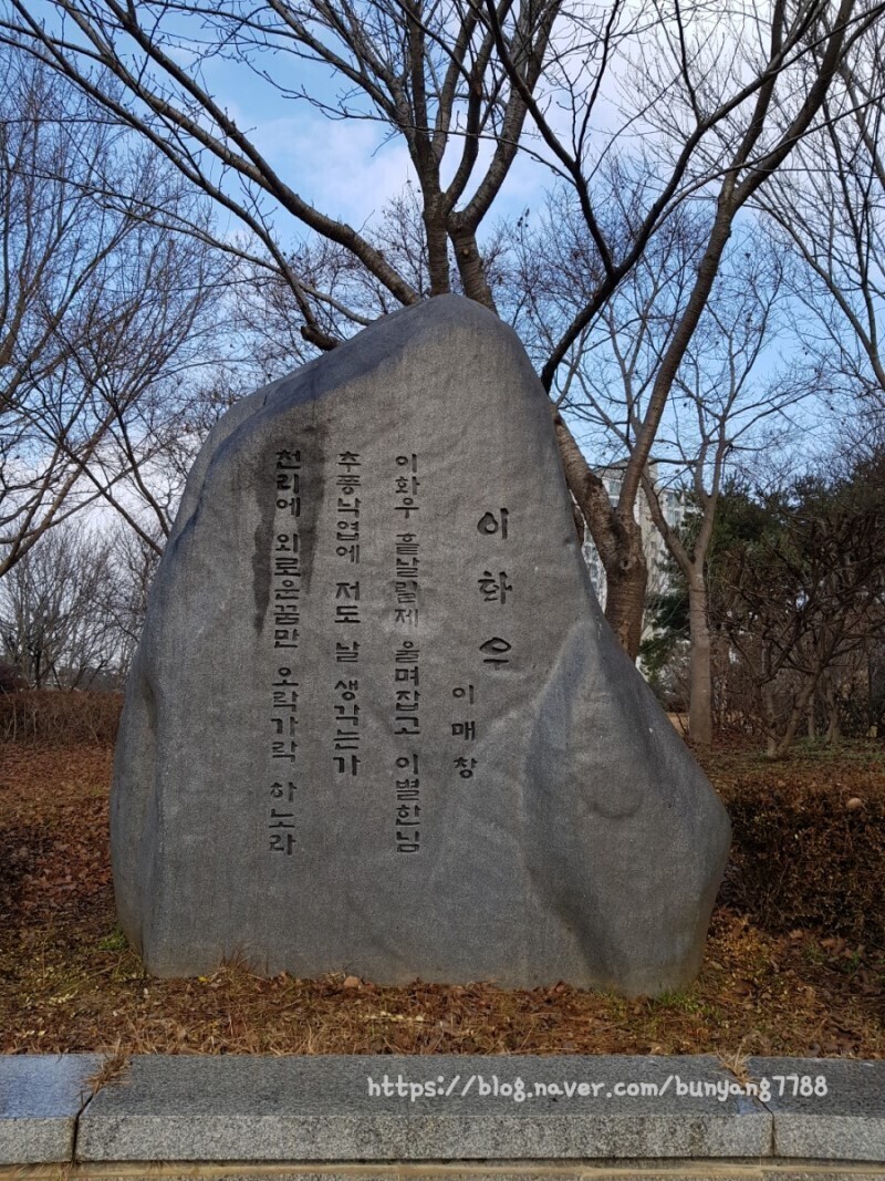 이화우 이미지