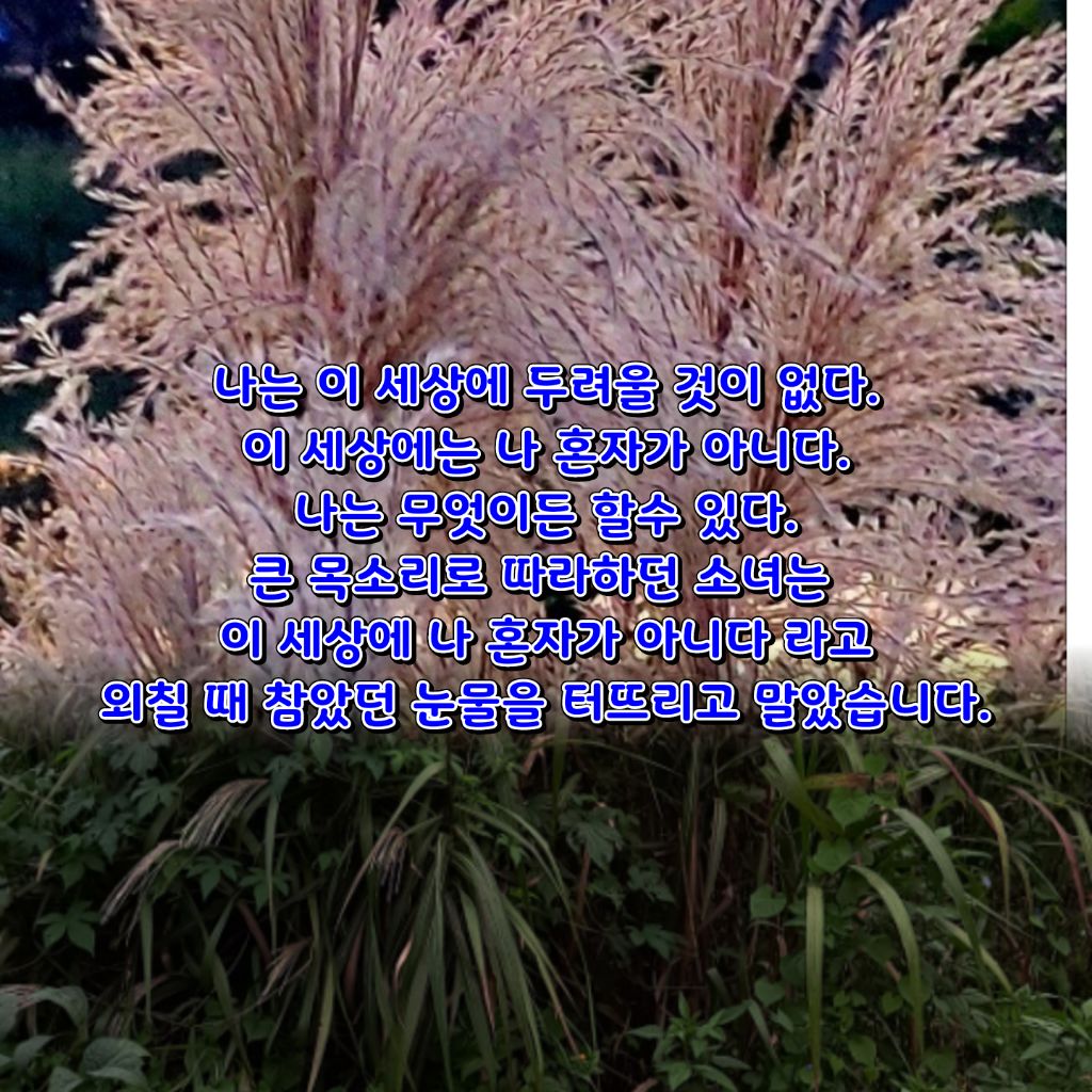 길과일 이미지