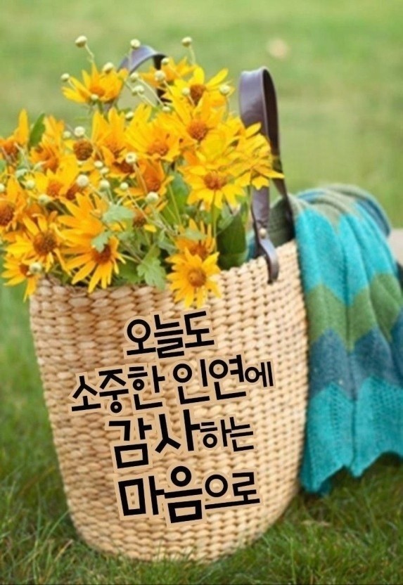 나눔과기쁨 이미지