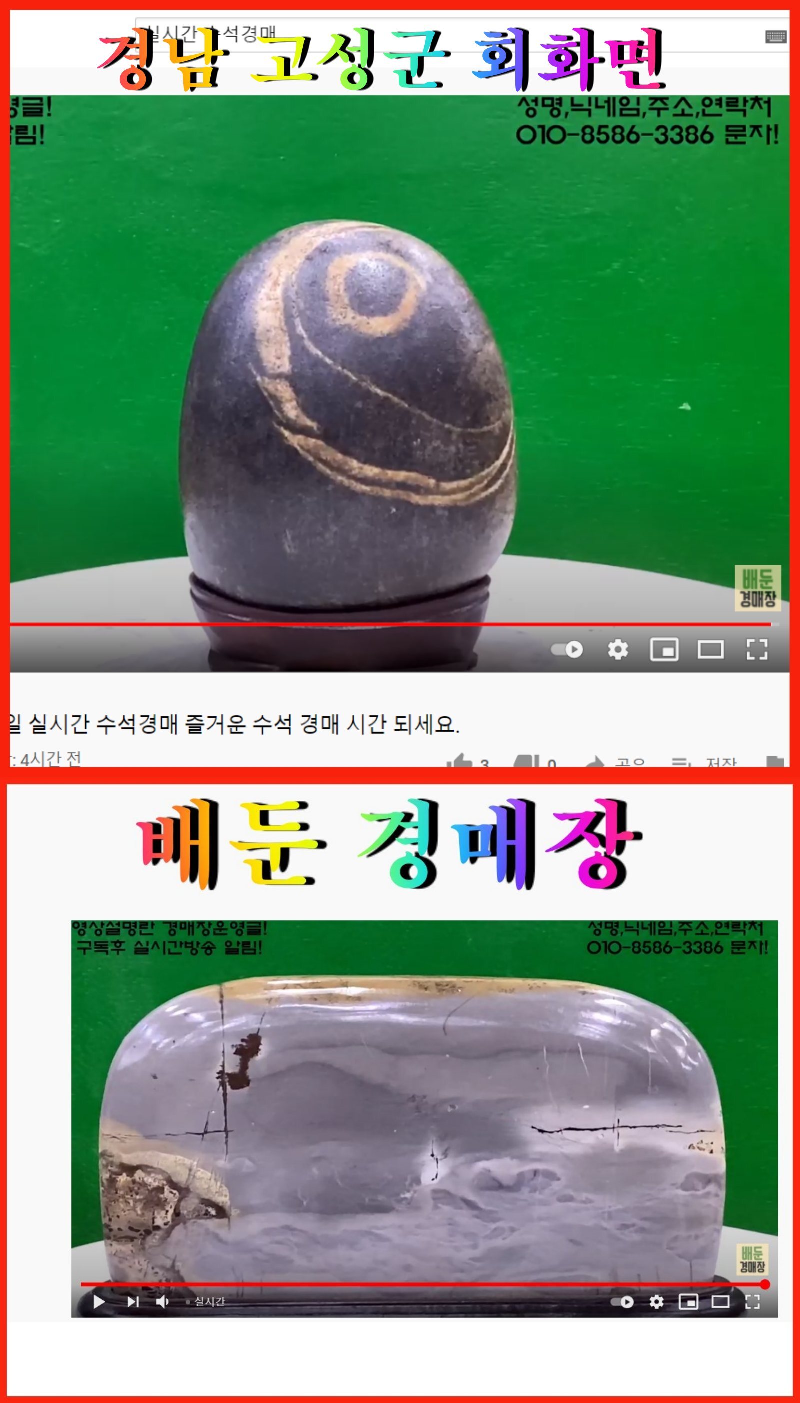 배둔경매장 이미지