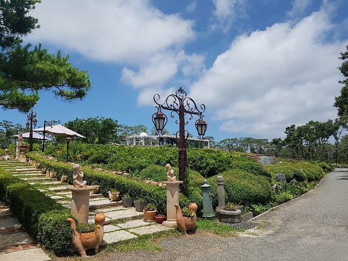 나문재카페 이미지