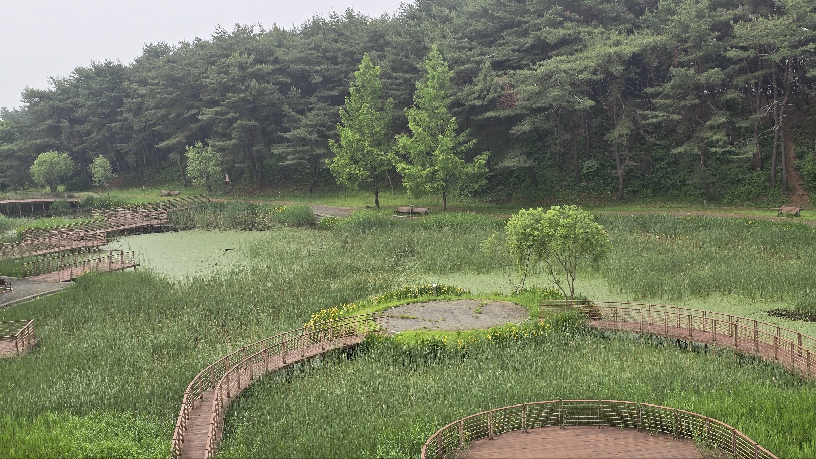 물소리새소리 이미지